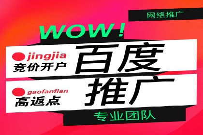 行业趋势下的SEM推广竞价代运营策略